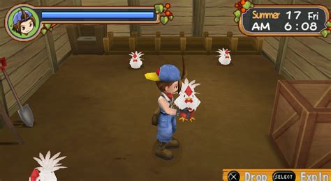 Resep HarvestMoon Hero of The Leaf Valley.